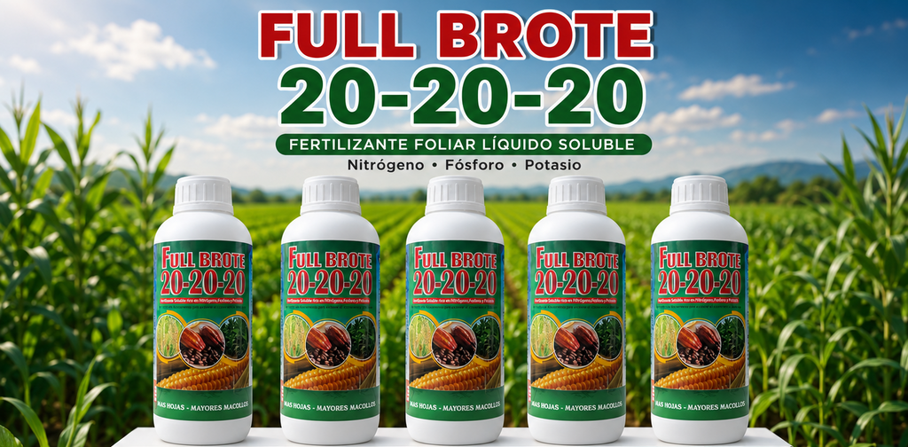 FULL BROTE 20- 20- 20