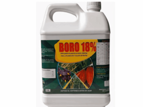 BORO 18%