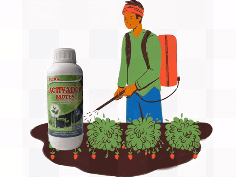 ACTIVADOR BROTES