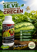 POTASIO
